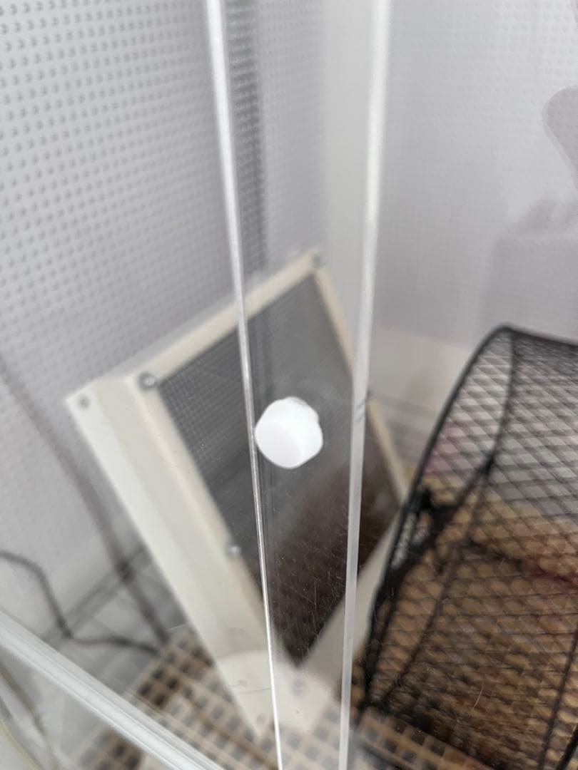 フクロモモンガ　アクリルケージ　ねくすと