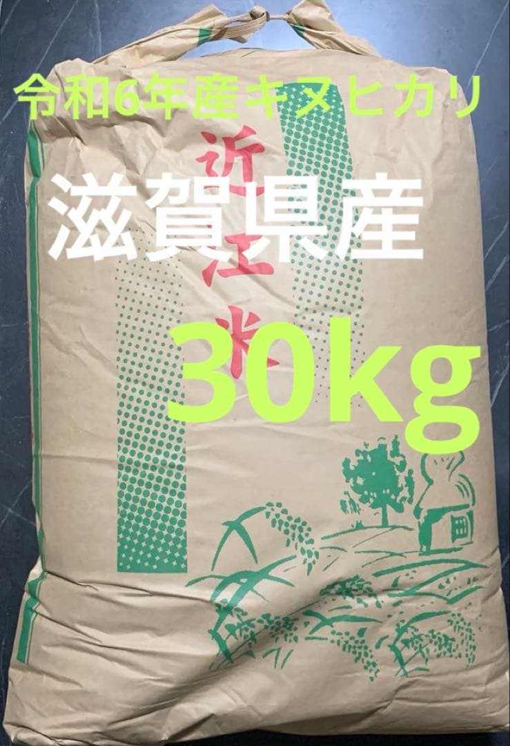 近江米　玄米　30kg 令和6年産　キヌヒカリ