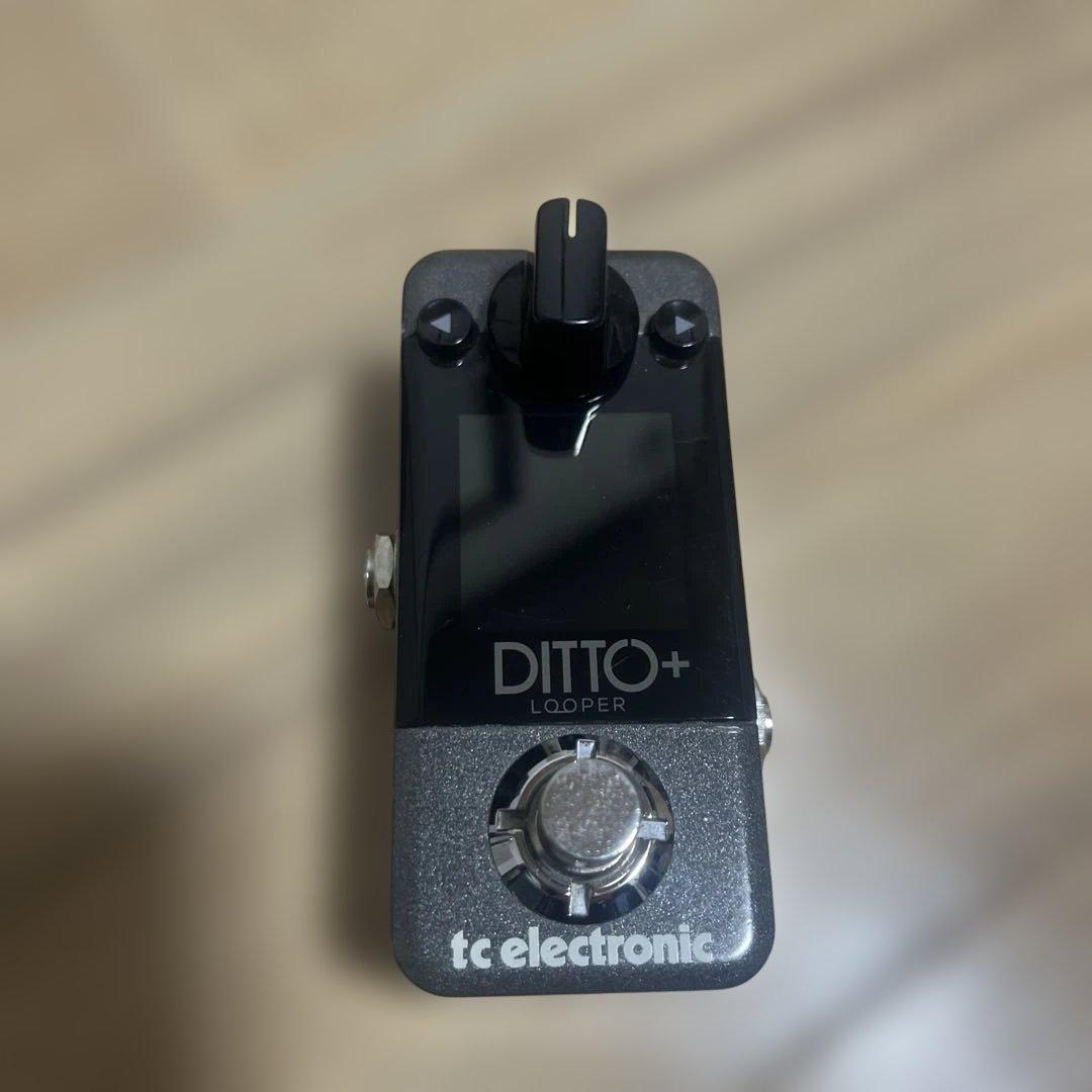 ギター tc electronic DITTO+ LOOPER