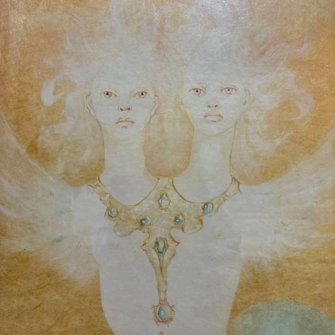 ❤️極稀少・大型の美品❤️レオノール・フィニのデイディランブ