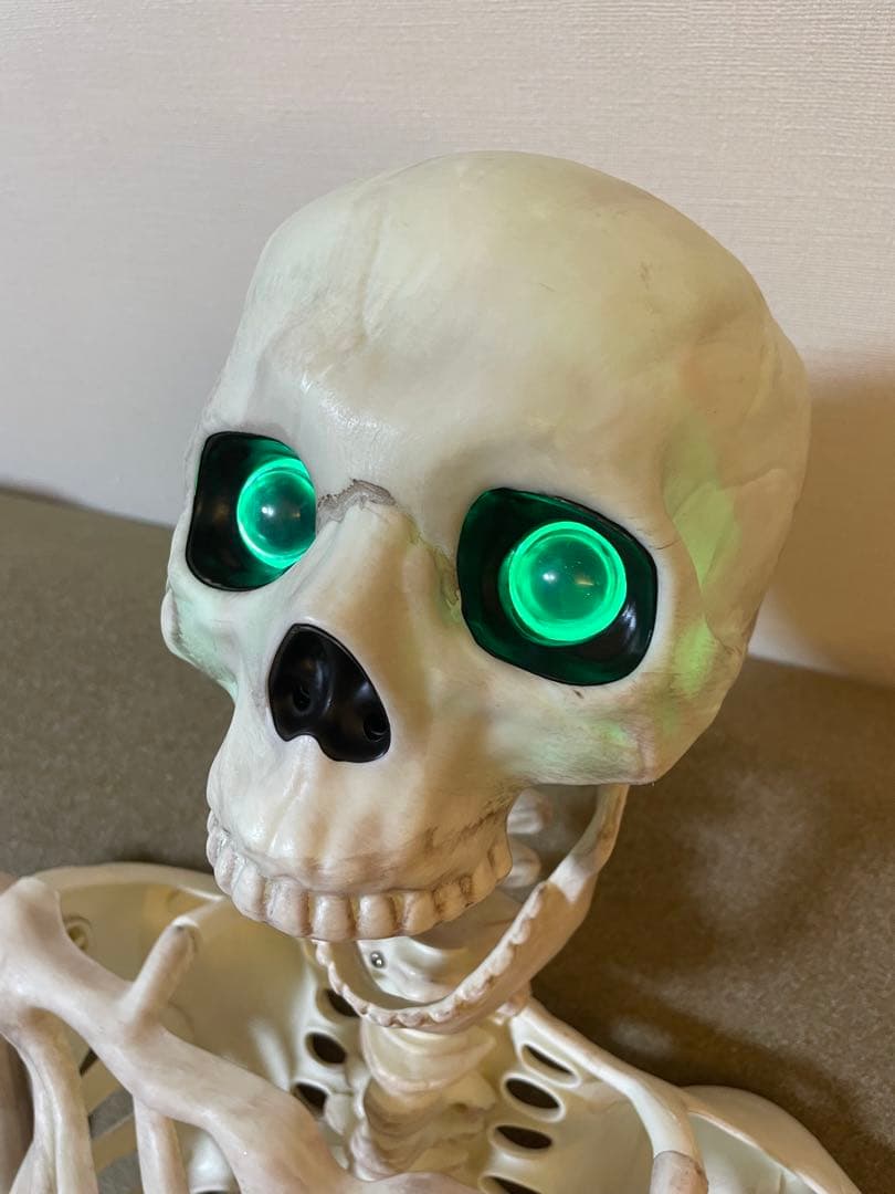 【デカすぎ！】ガイコツ　ハロウィン　人体模型　骨　ハロウィン　150cm