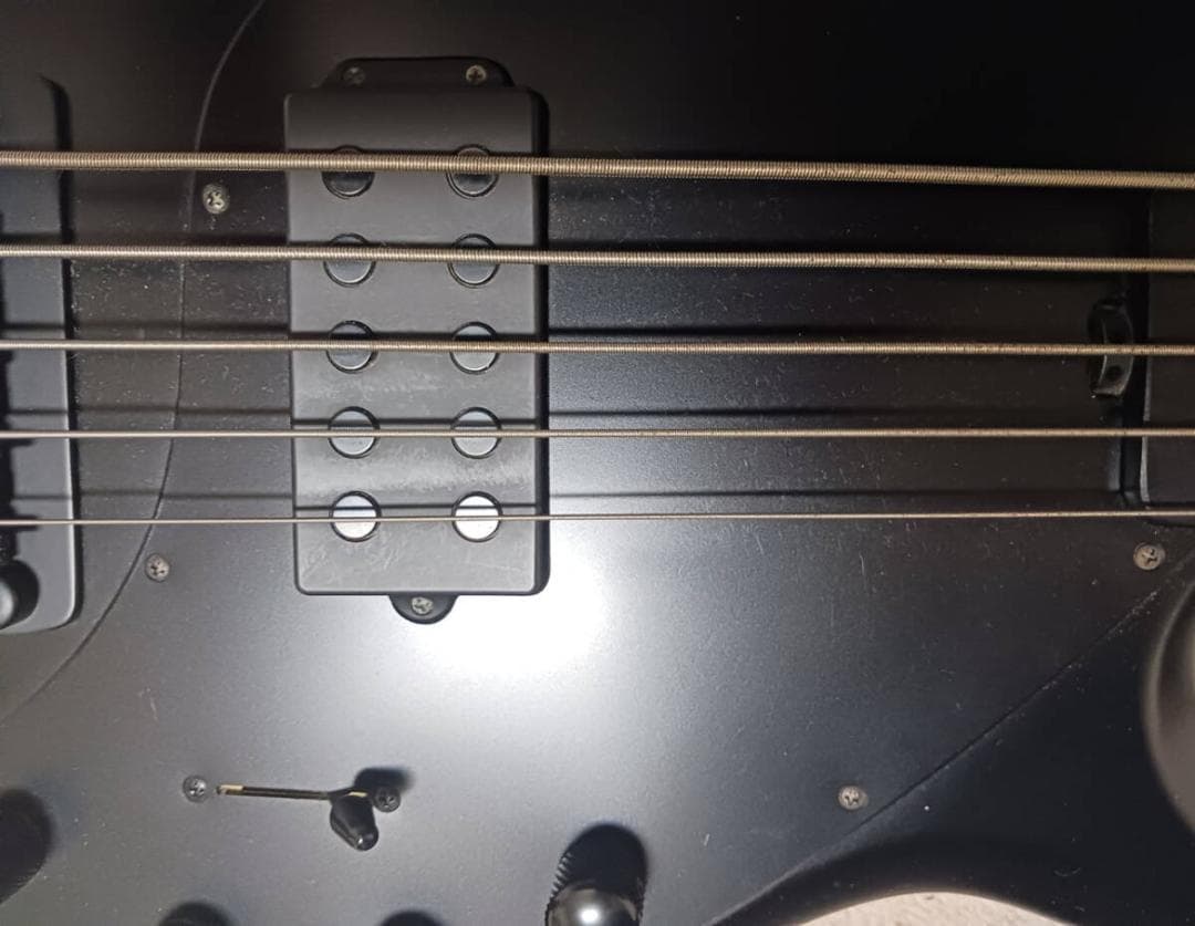 Ernieball MUSICMAN Stingray 5H ミュージックマン