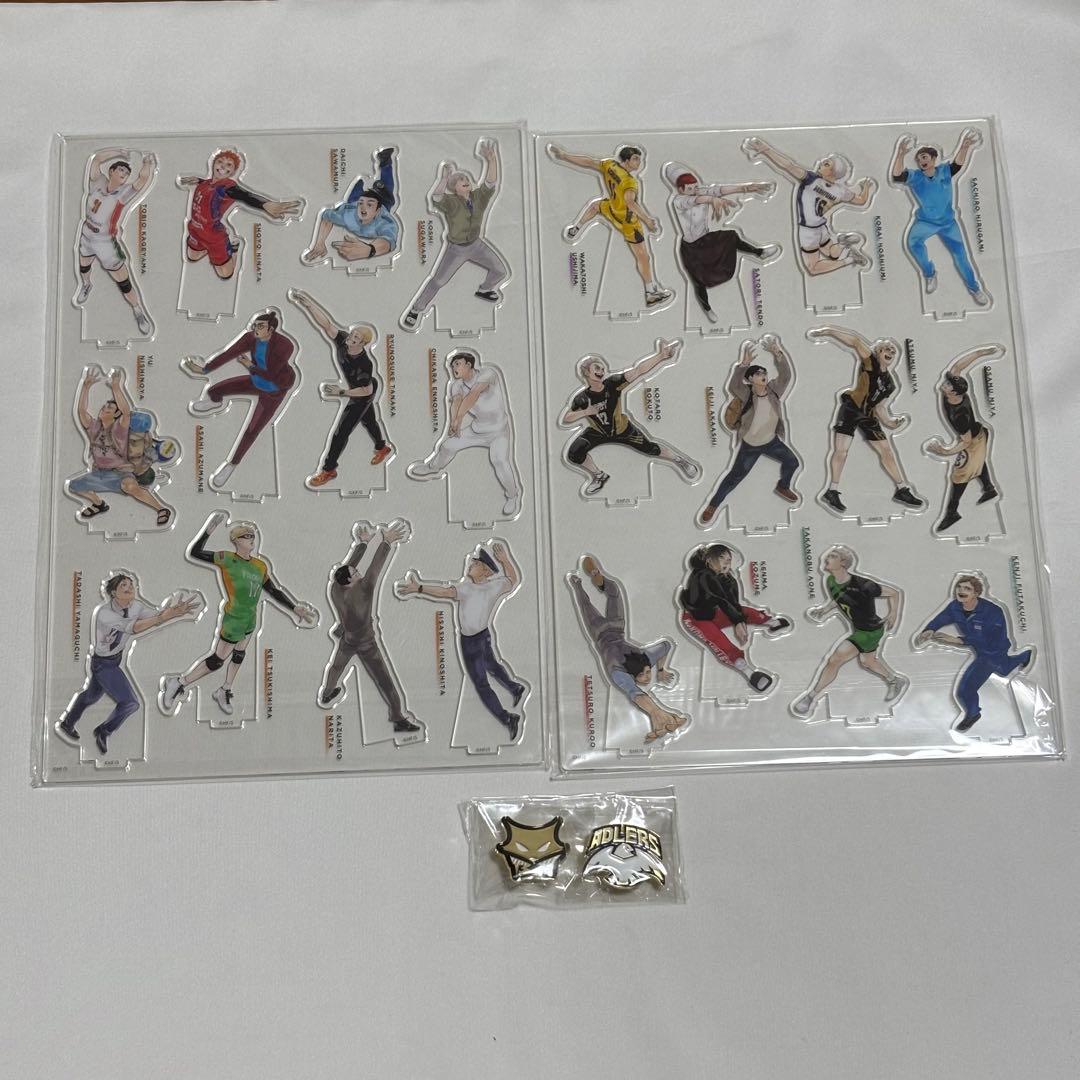 ハイキュー 10thクロニクル アクリルフィギュア30体 ピンズ2個