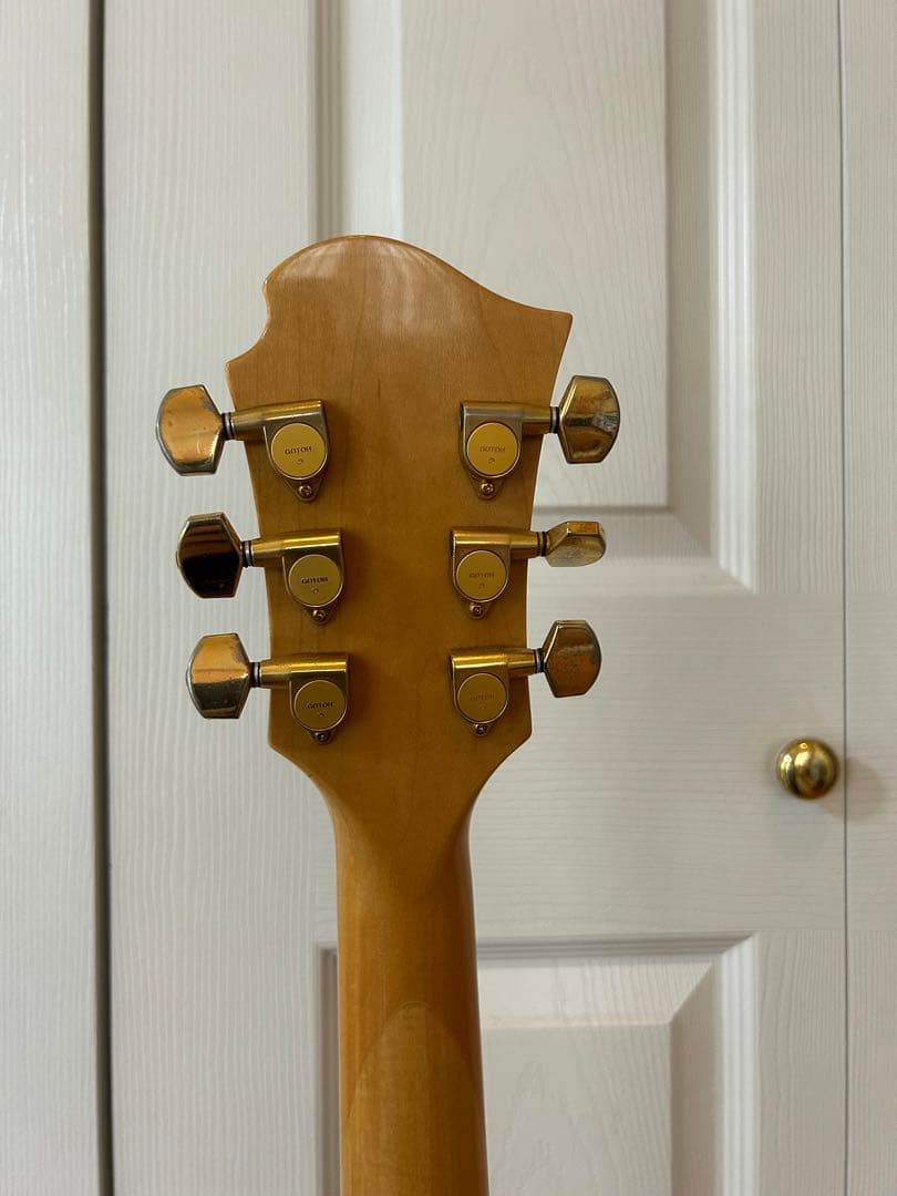 フェルナンデス mg 85x hide モデル　ギター