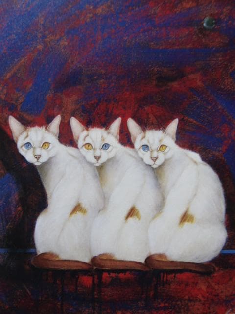 テリー今野、【三びきの猫】、希少な画集より、状態良好、新品高級額装付