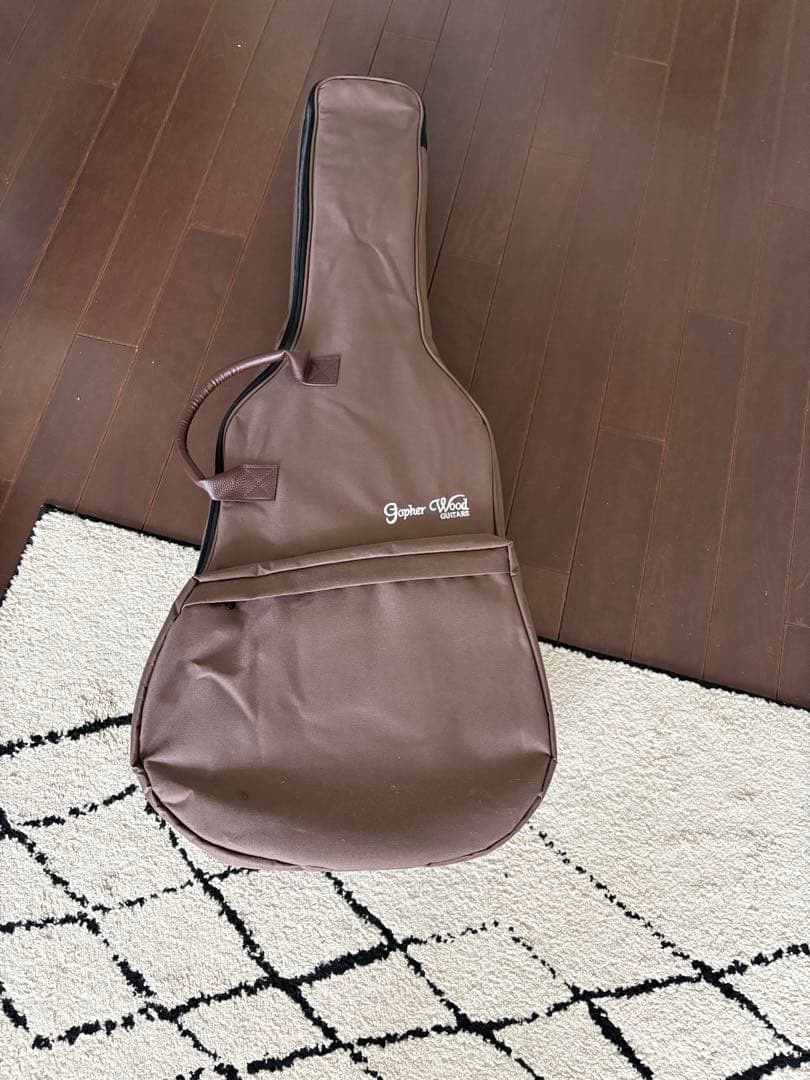 ギター 初心者セット ケース付き