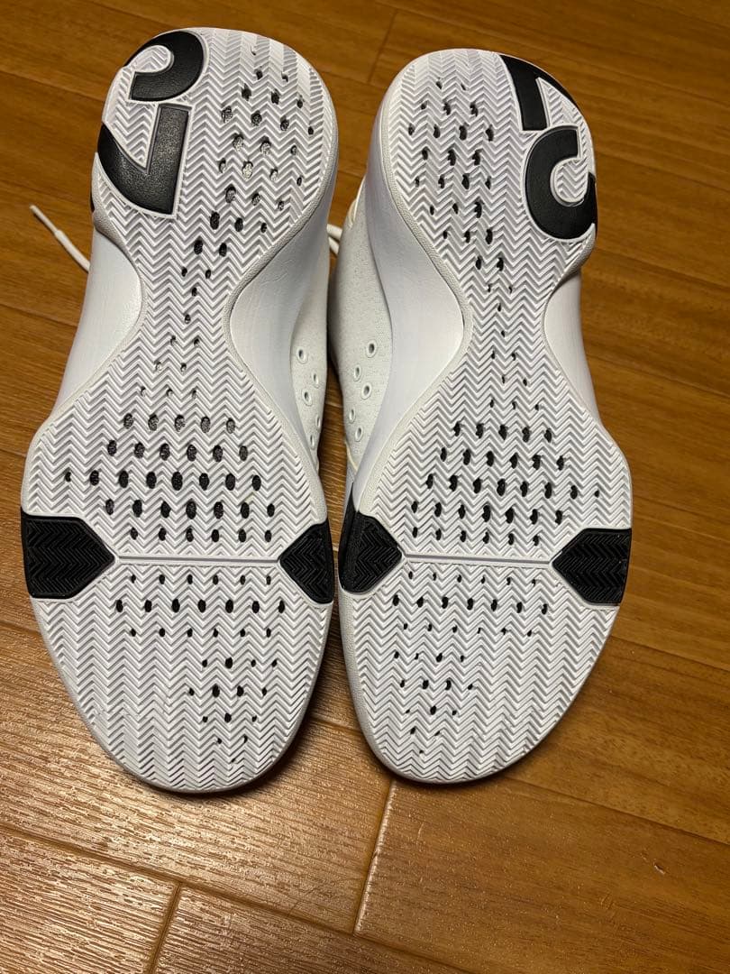 ナイキ ジョーダン ウルトラ フライ 3 28.5cm