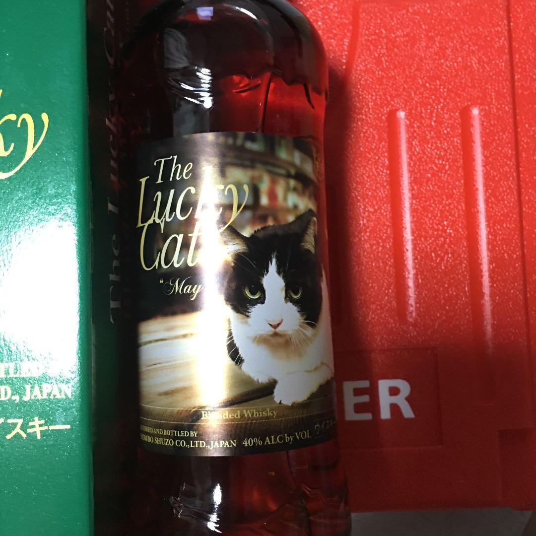 The Lucky Cat May 　ザ・ラッキーキャット メイ