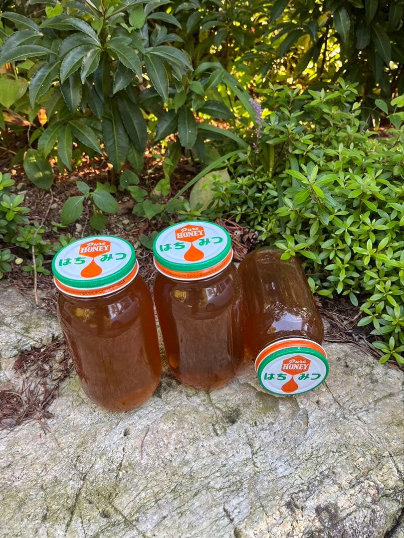 日本蜜蜂ハチミツ/蜂蜜/百花蜜/1kg×2本