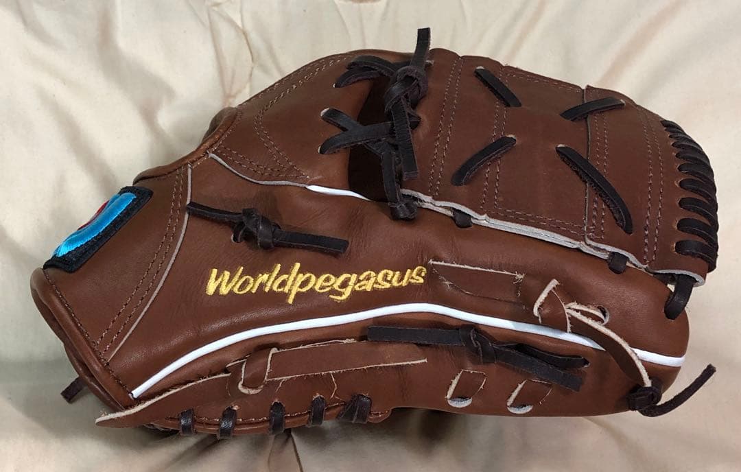 ワールドペガサス グランドペガサス オーダーグラブ 型付け済み 軟式