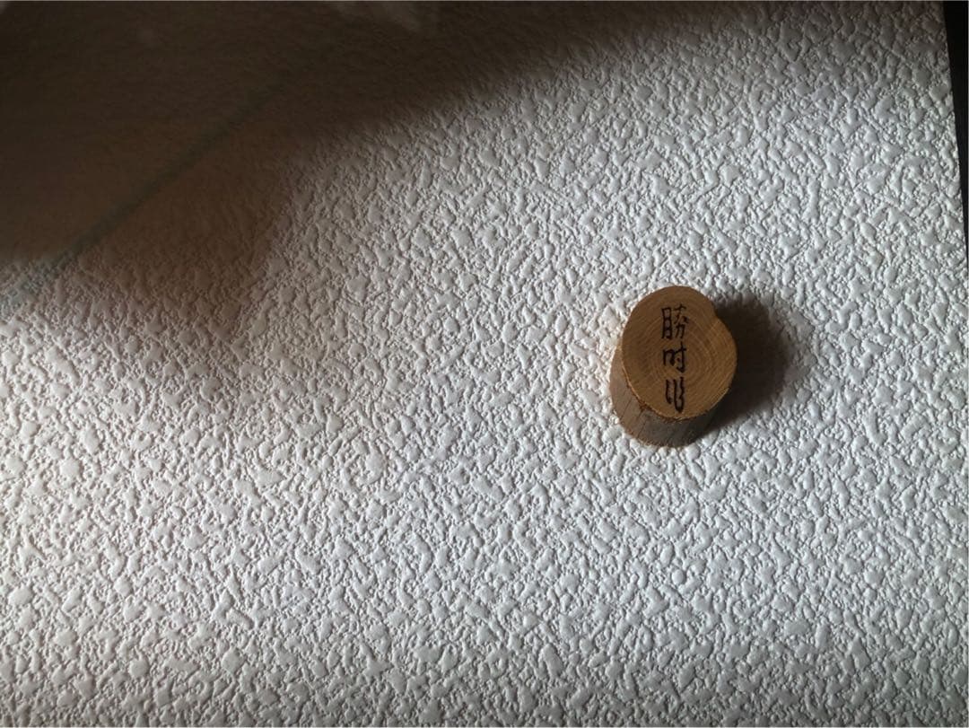 ヤマメの標本　剥製　木製フレーム付き 約34cm