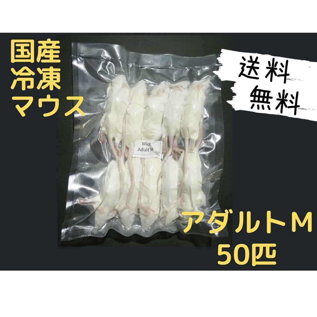 国産冷凍マウス アダルトM 50匹(送料無料一部地域発送不可)