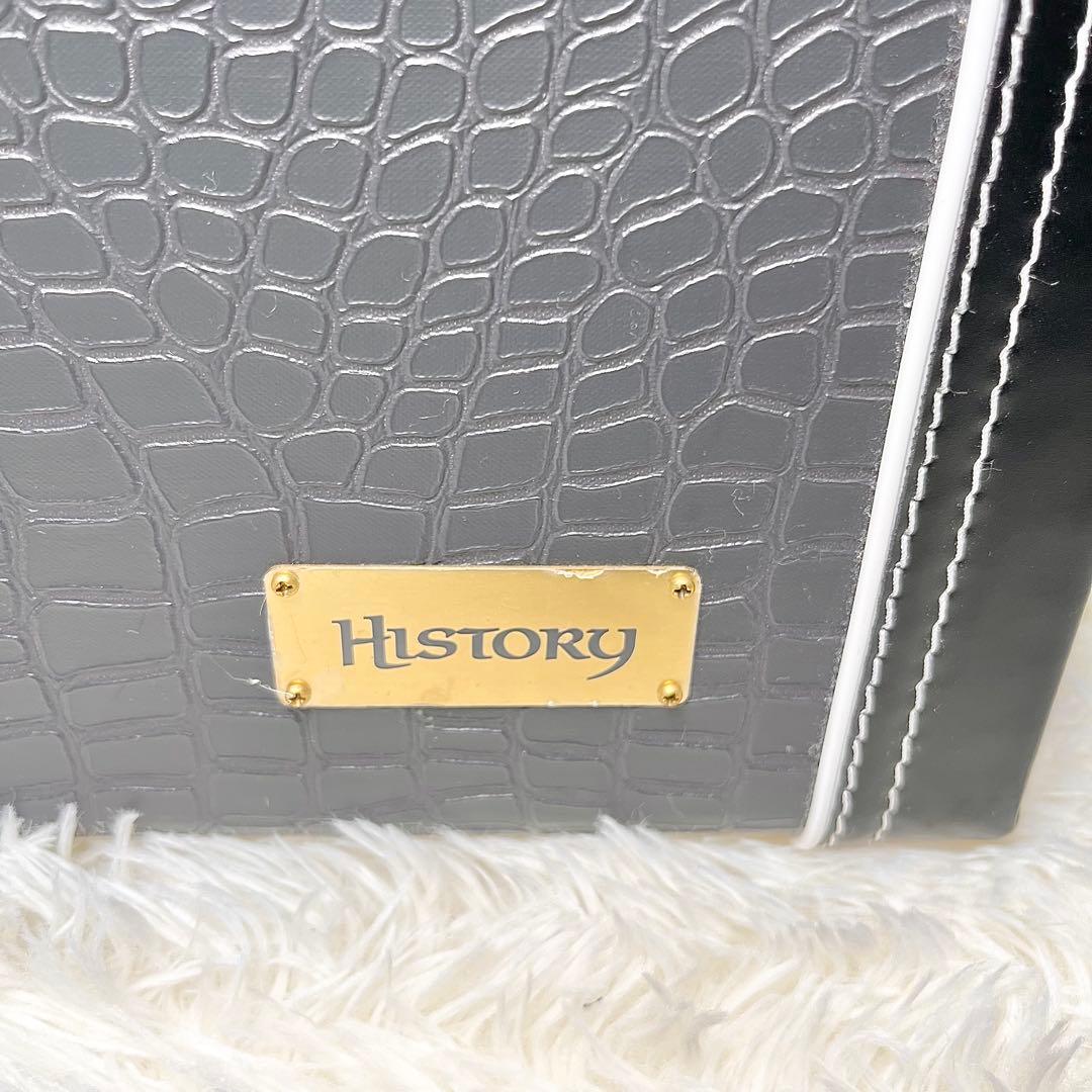 【美品】History 鰐革風 ベース用ハードケース
