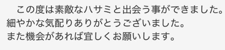 プロ用カーブセニングシザートリマートリミング犬猫ペットママミングスキバサミ