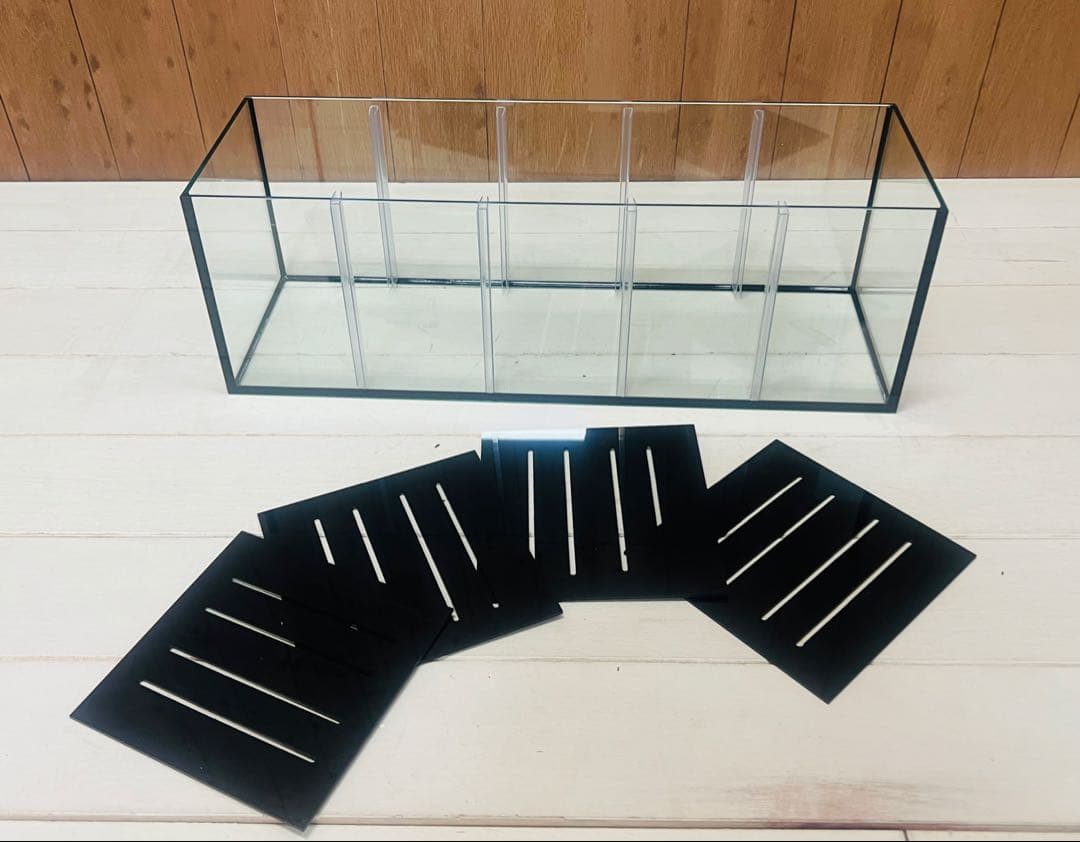 特注600×200×200 5室水槽 特注仕切り板 ブラックシリコン 未使用品