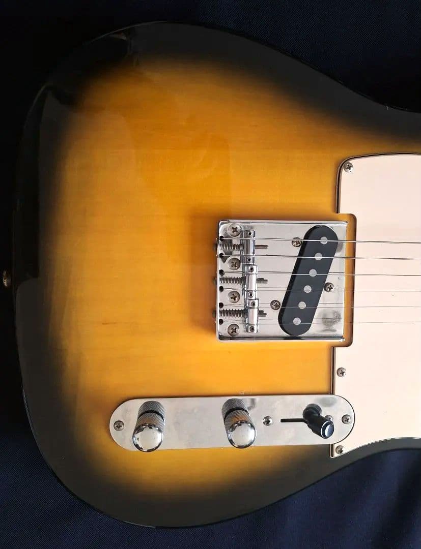 LEGEND テレキャスター タイプ 2TS フェンダーヘッド ソフトケース