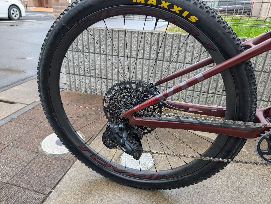 Specialized Epic Evo Expert 29 Sサイズ