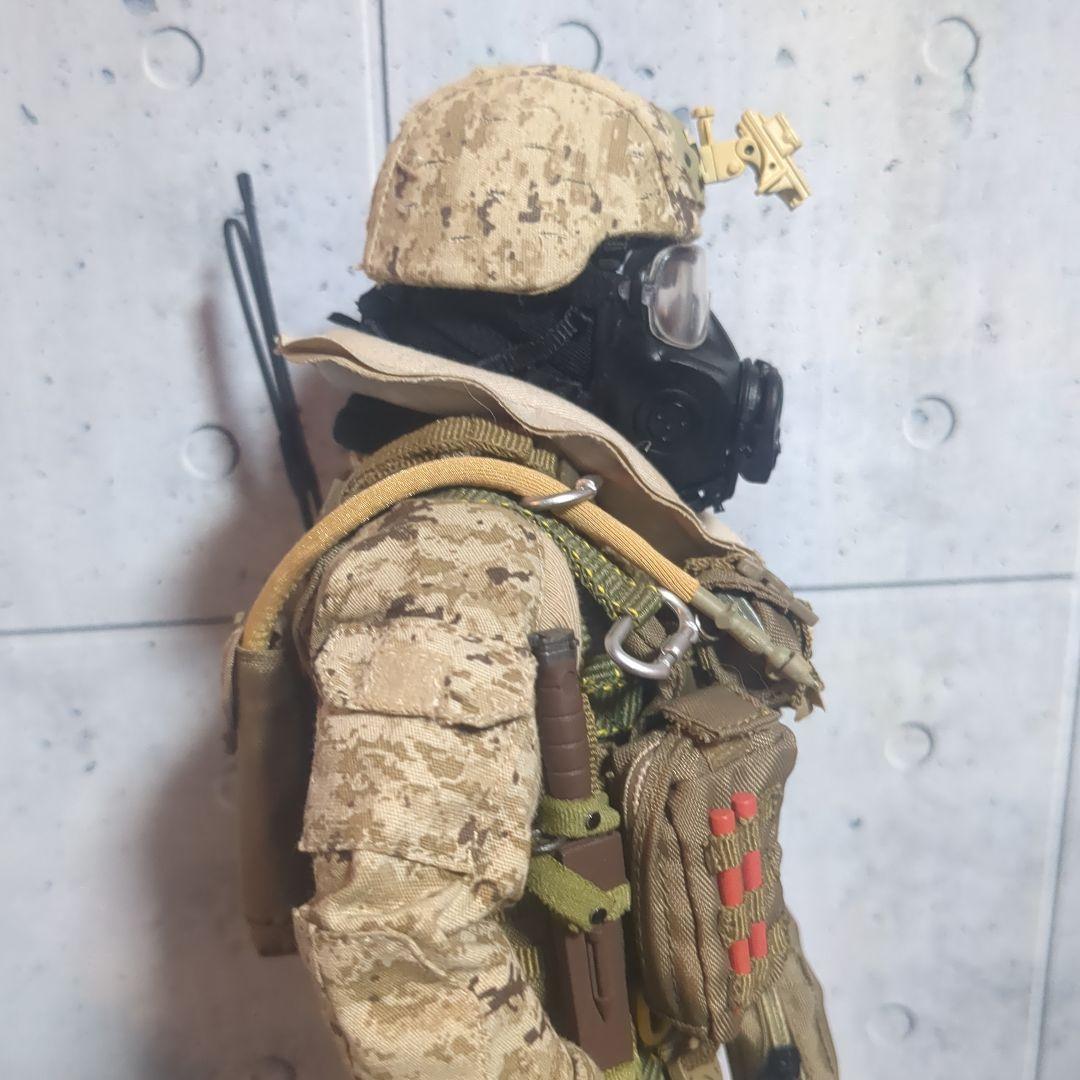 1/6 12インチ 特殊部隊カスタムフィギュア CS108