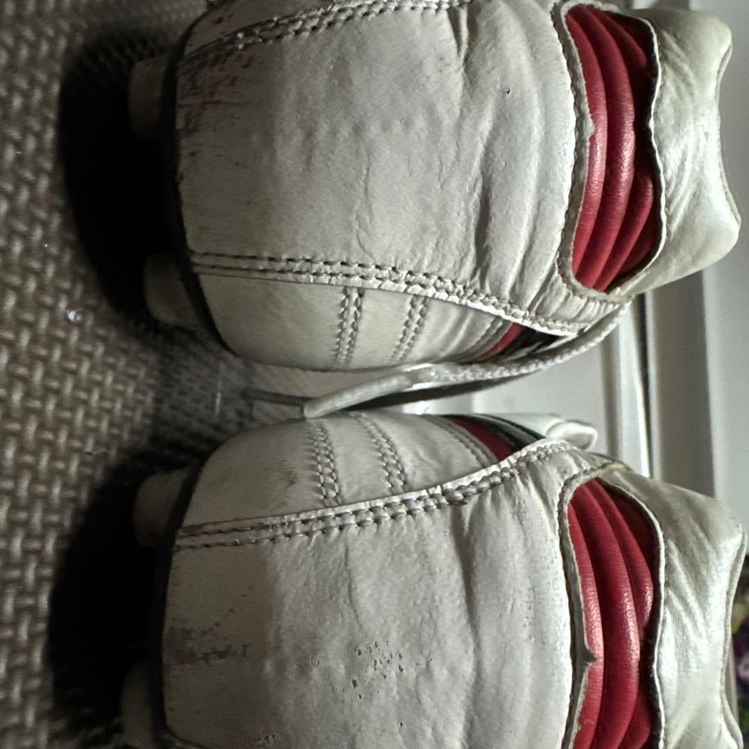 モレリア2JAPAN クロスステッジ