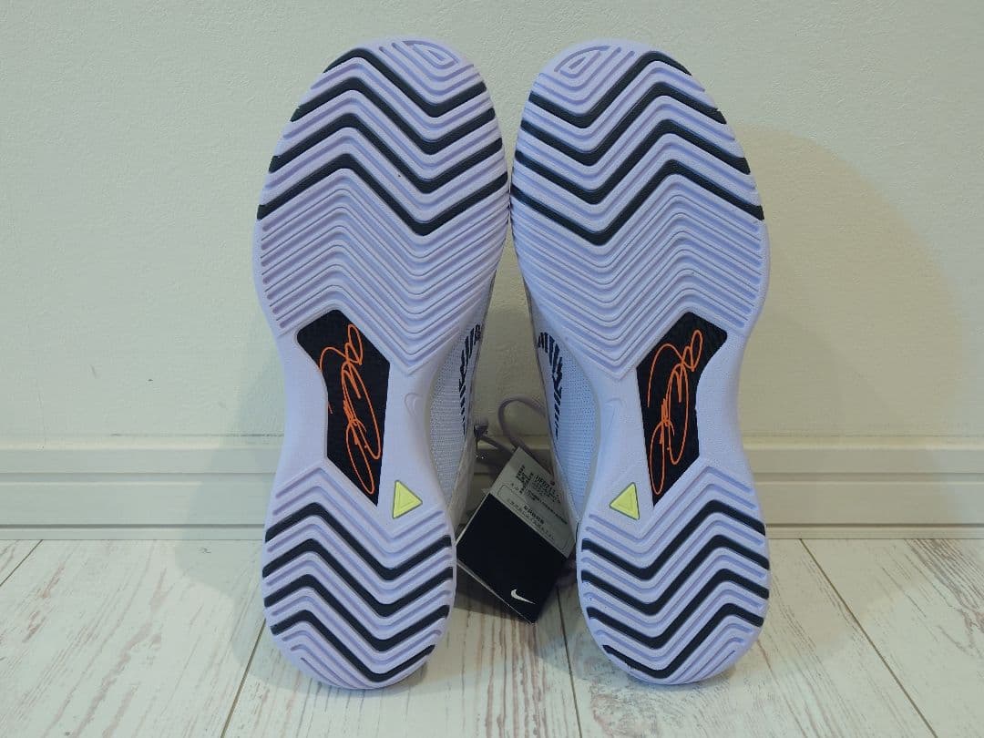 シューズ(男性用) NIKE LBJ NXXT GENISUS EP 26cm