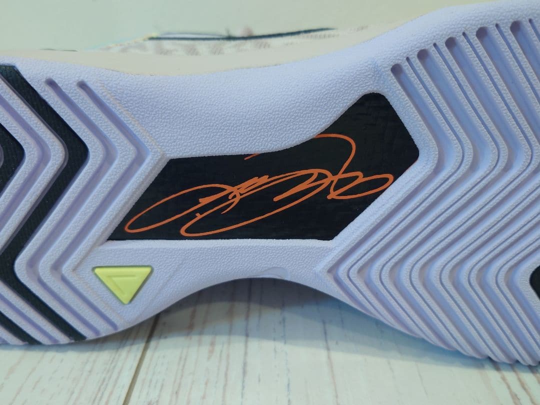 シューズ(男性用) NIKE LBJ NXXT GENISUS EP 26cm