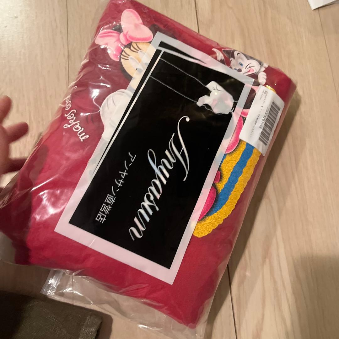 ミッキー・ミニー 刺繍ポーチ 赤