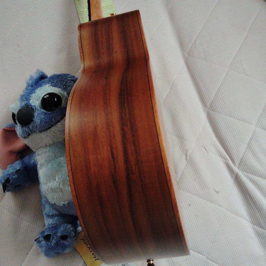 aNueNue （アヌエヌエ）M30　トップ単板、オールアカシアギター