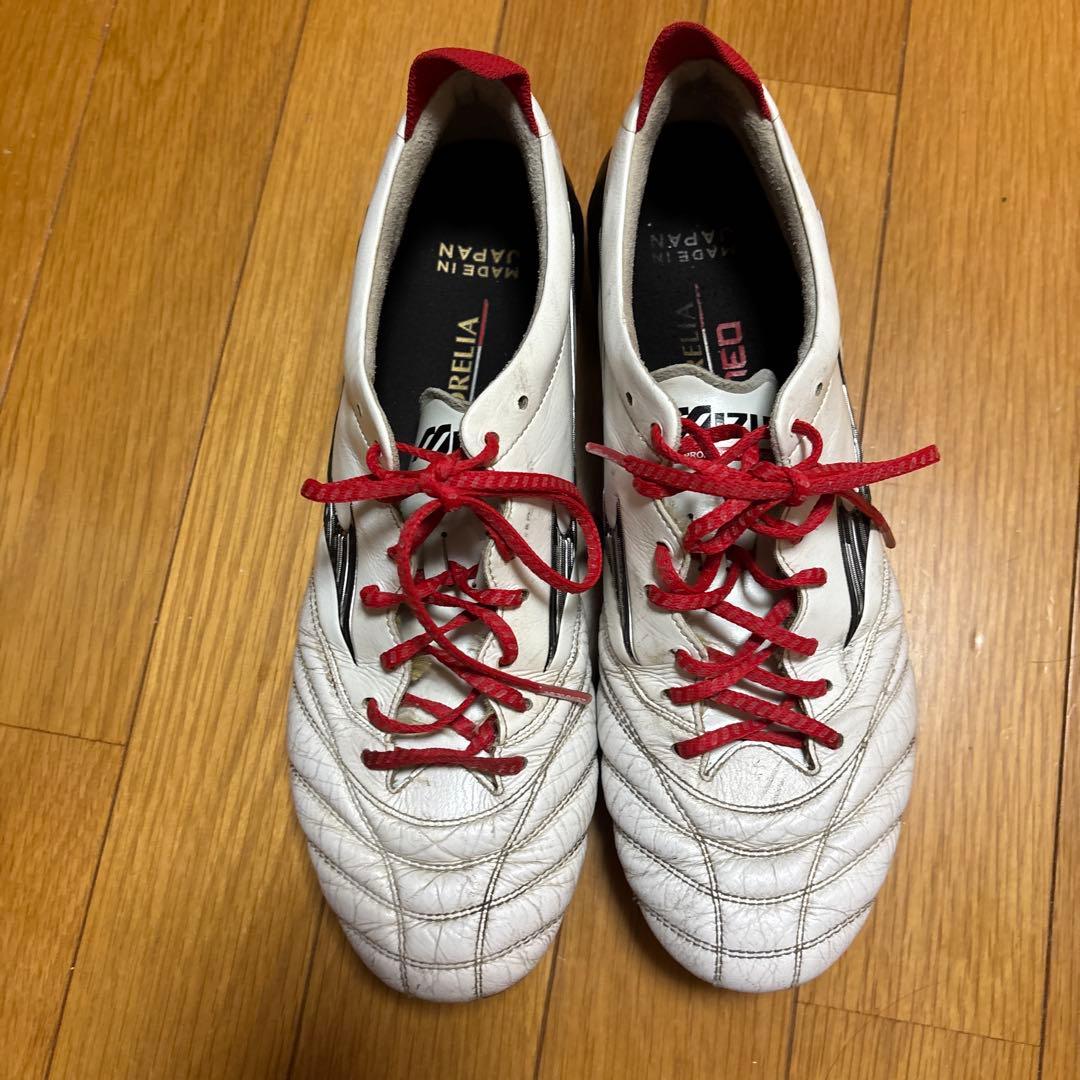 モレリア　ネオ4