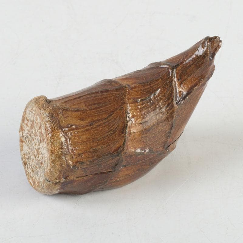 茶道具　輪島塗　塗師　川岸英之作　筍香合　共箱　V　9814