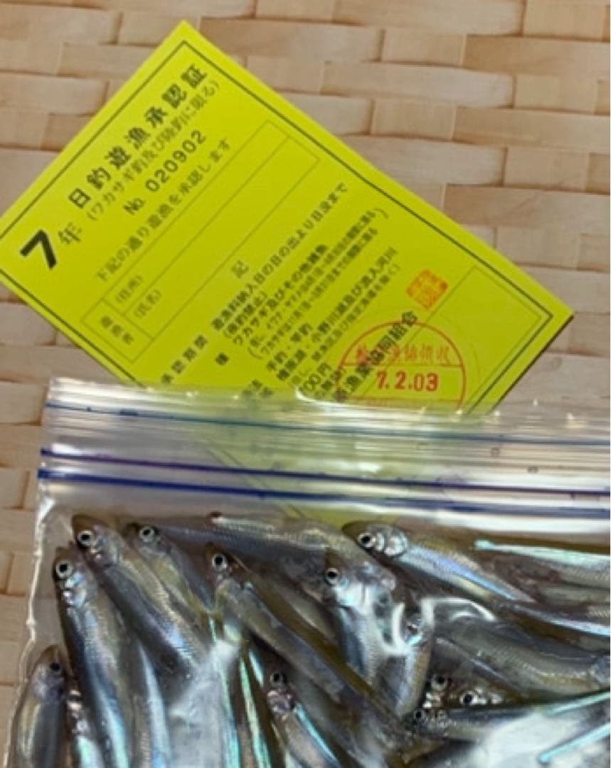 ワカサギステンレス穂先　　２５８ミリ　　２本