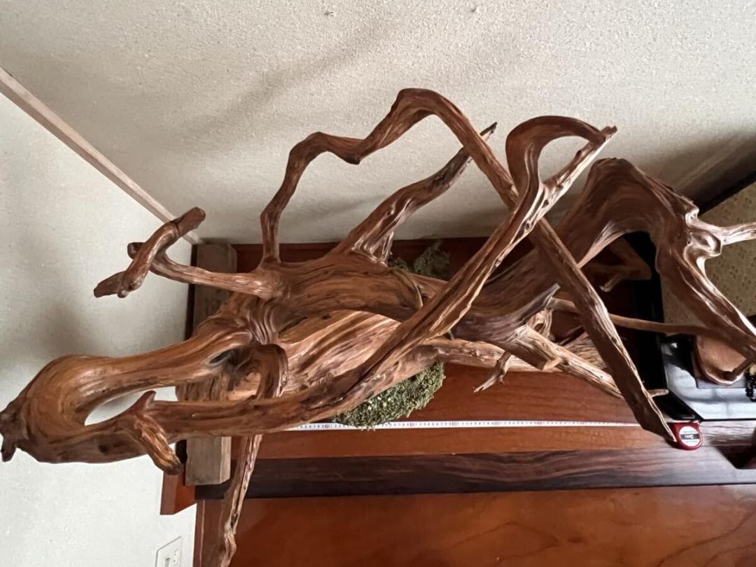 入手困難！超貴重な知床真柏を手作業で磨いたオブジェ