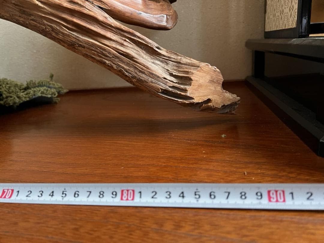 入手困難！超貴重な知床真柏を手作業で磨いたオブジェ