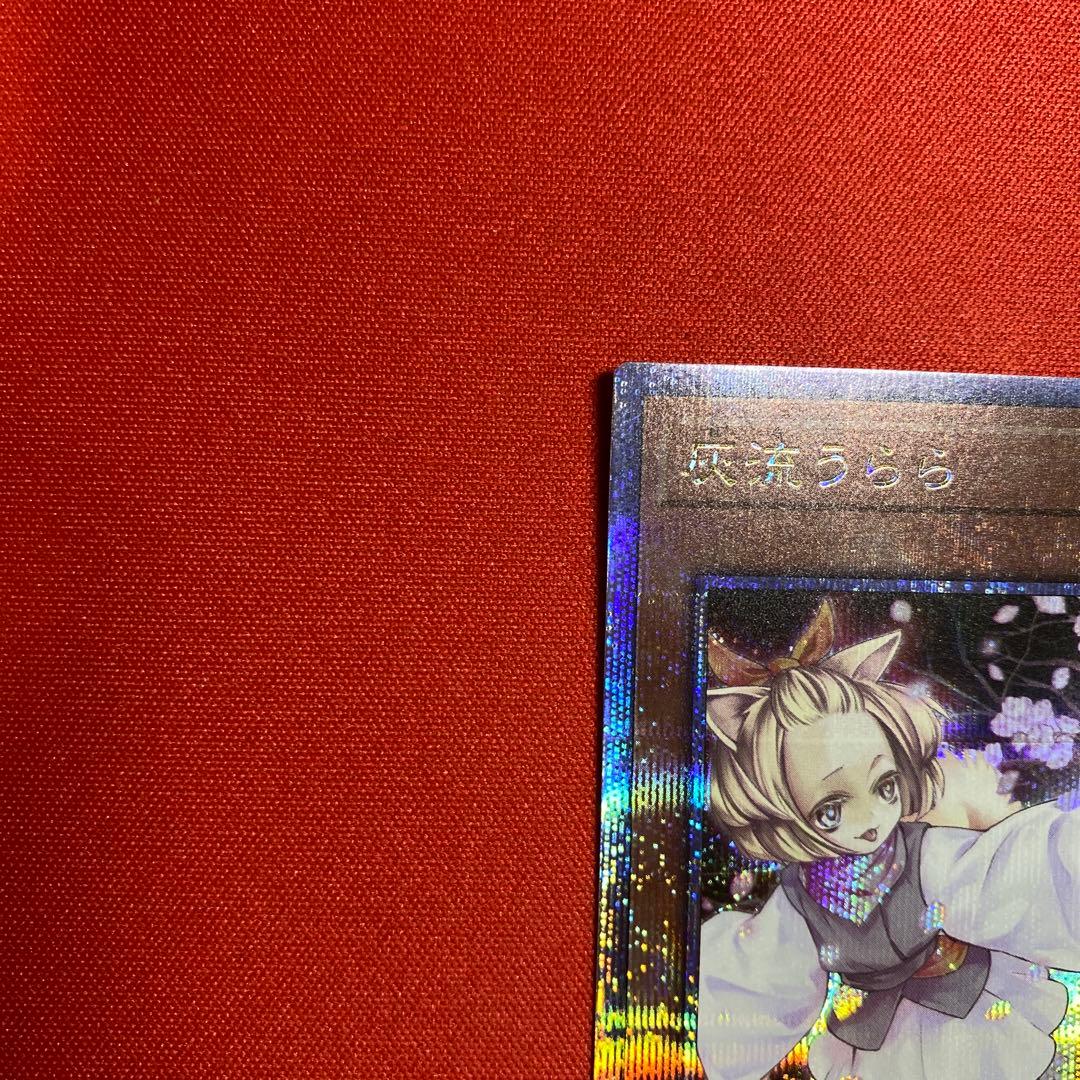 遊戯王 灰流うらら 25thシークレット　五つ目