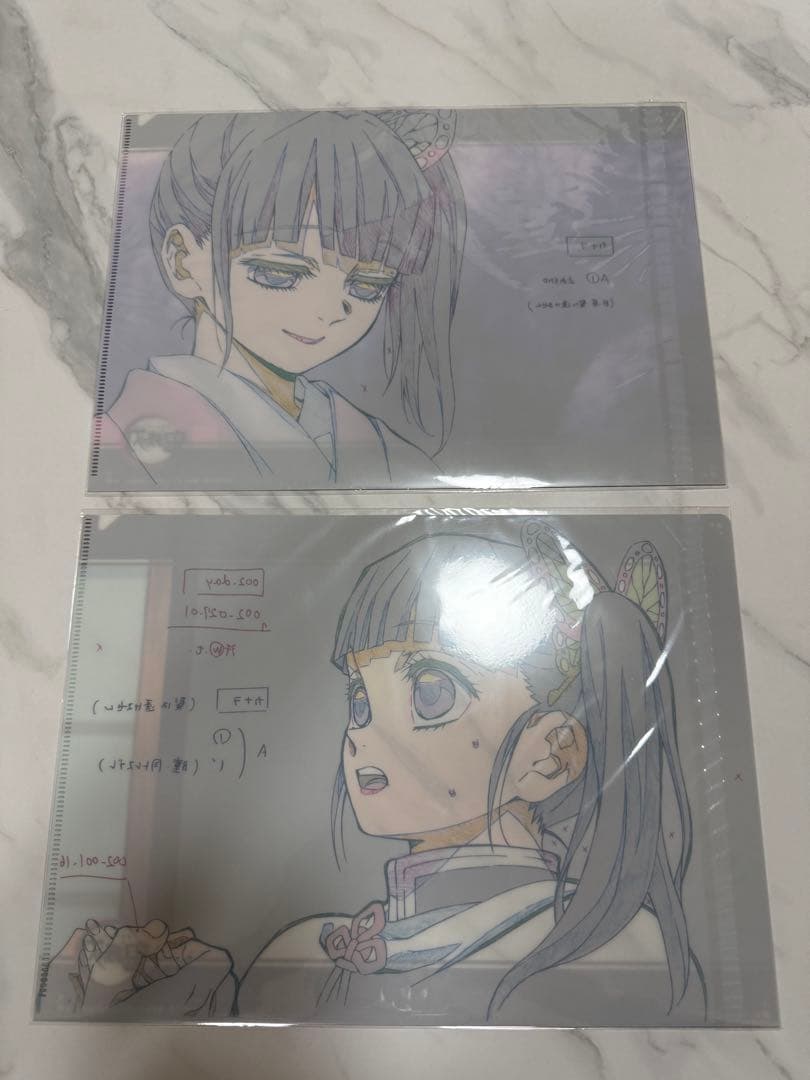 鬼滅の刃 ダイニング お楽しみくじ クリアファイル 第一期 栗花落カナヲ