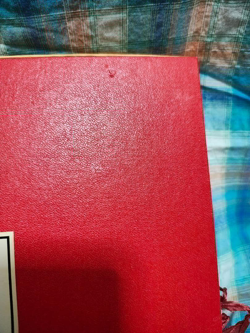 不思議の国のアリス　皿