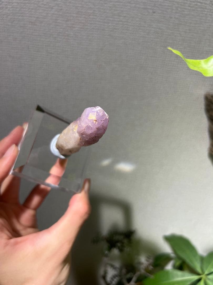 国産鉱物　富井鉱山　紫水晶