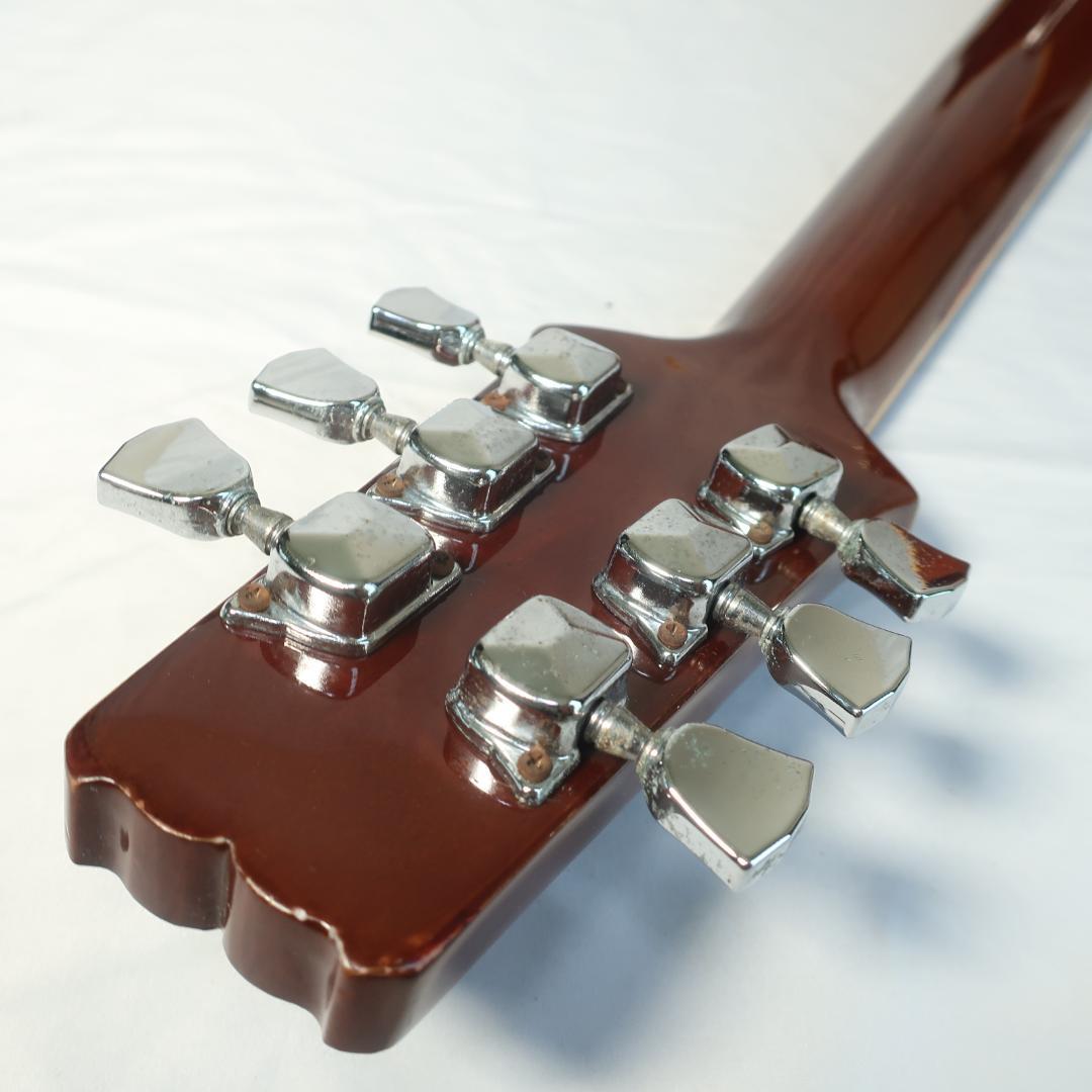 Ariana AW-71 アコースティックギター ケース付 PEヘッドシェイプ