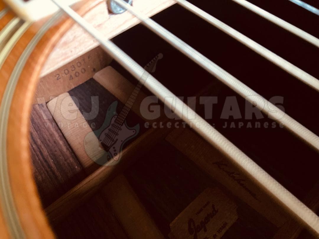 ギター TREE of LIFE* JAGARD TERADA MT-400P 1974