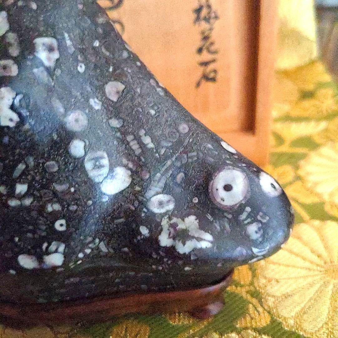 【最終価格】梅花石　銘、鶯の宿　梅の里　日本愛石館館長　小森宗閑翁