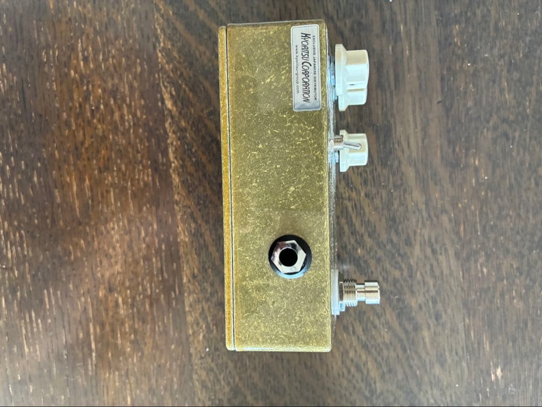 ギター JHS morning glory v4