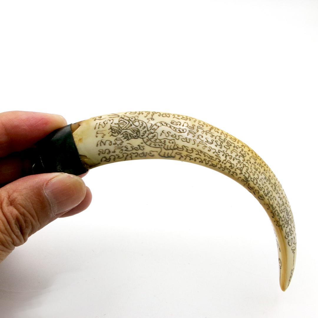 タイ お守り Khiaw Hmoo Dtan Gae Suea 猪牙 Yant