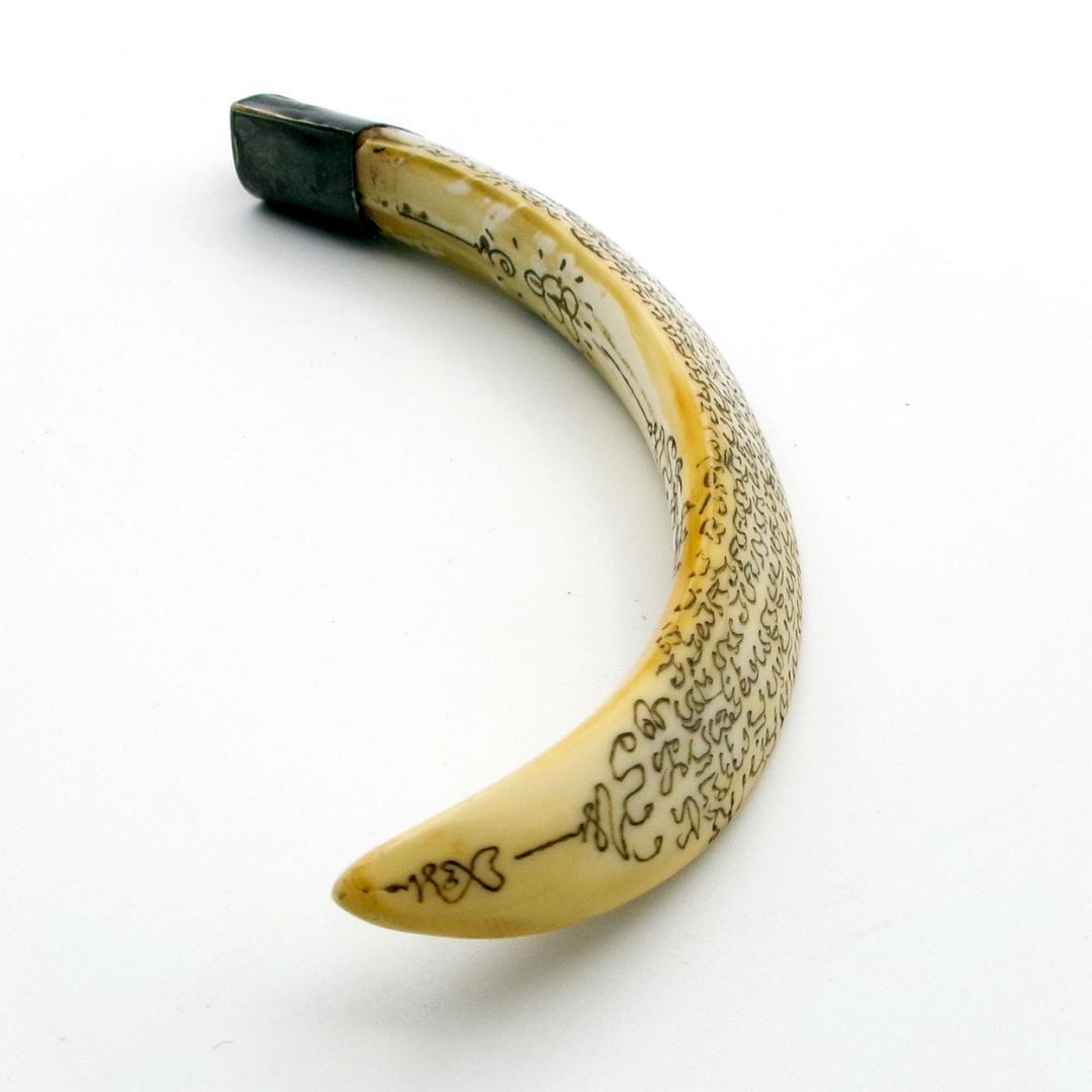 タイ お守り Khiaw Hmoo Dtan Gae Suea 猪牙 Yant