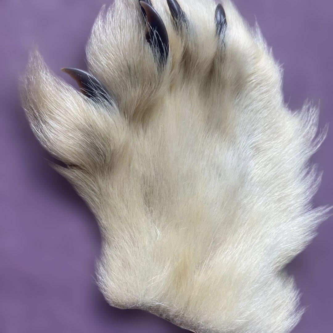 ポーラーベア　フライマテリアル　 サーモンフライやストリーマーなどに 爪５本付き