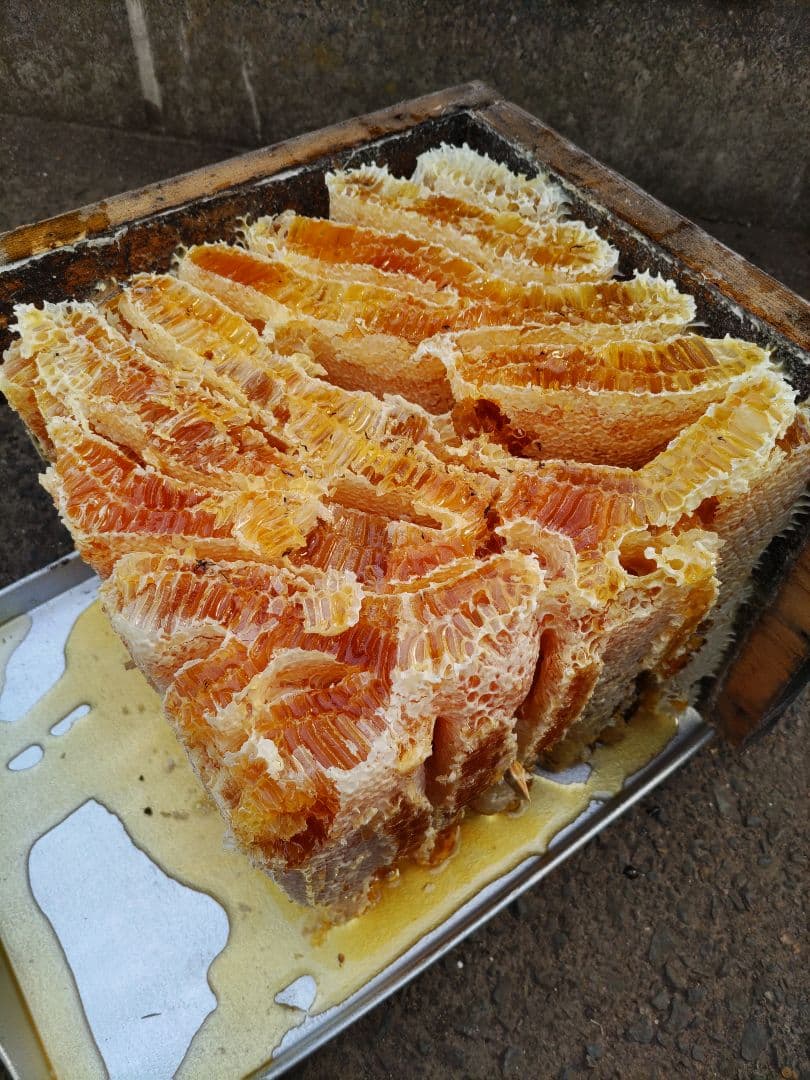 純粋はちみつ　日本蜜蜂の百花蜜　１年熟成　550ｇ✕2本（1.1kg）