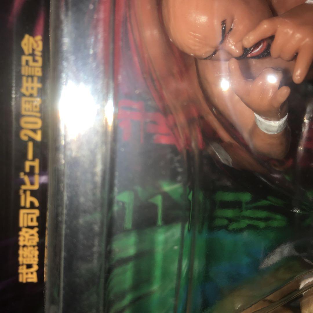 武藤敬司20周年記念2004.10.31両国大会　三沢・武藤2体パック