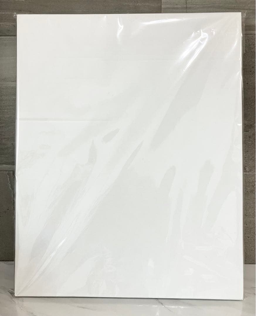 限定版50◆直筆サイン トライガン 複製原画5 TRIGUN 内藤泰弘の世界展