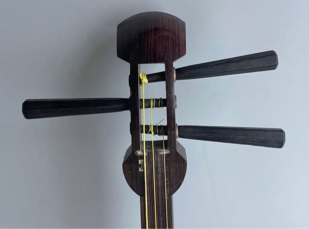 レア楽器　「サバミセン」　エレクトリック対応、撥・ハードケース付き