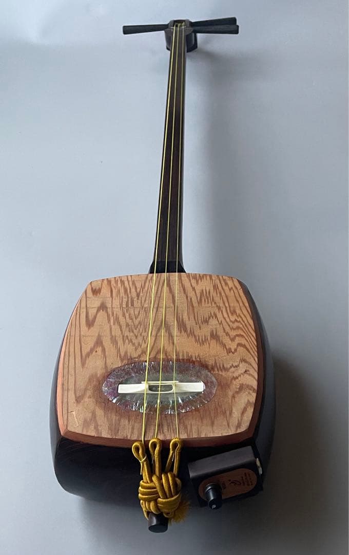 レア楽器　「サバミセン」　エレクトリック対応、撥・ハードケース付き