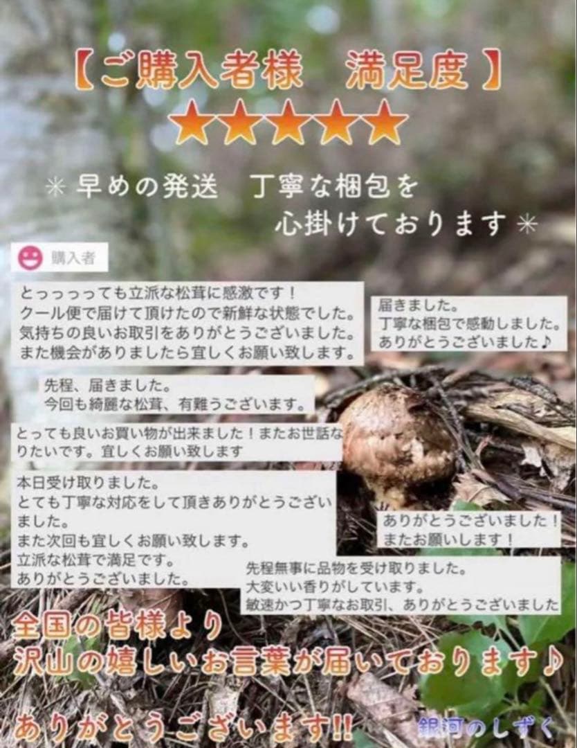 【大人気‼︎ 開きセット 330g 今期最終‼︎】本日採れ‼︎ 松茸◆クール便発送◆