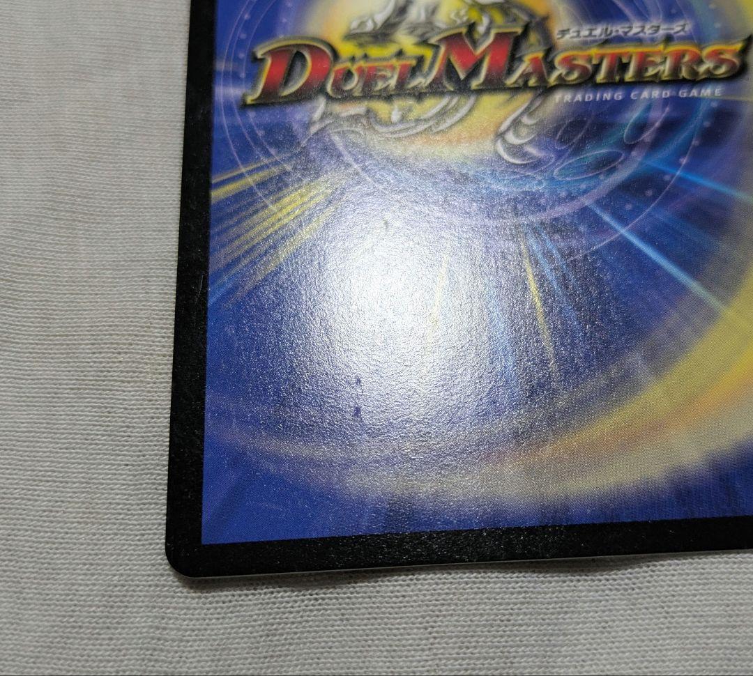 シャコガイル　b